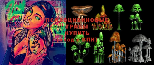 синтетический гашиш Богородицк