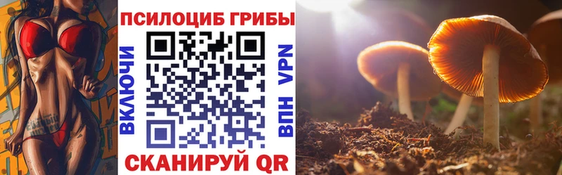 Галлюциногенные грибы Psilocybe  Гулькевичи 